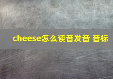 cheese怎么读音发音 音标